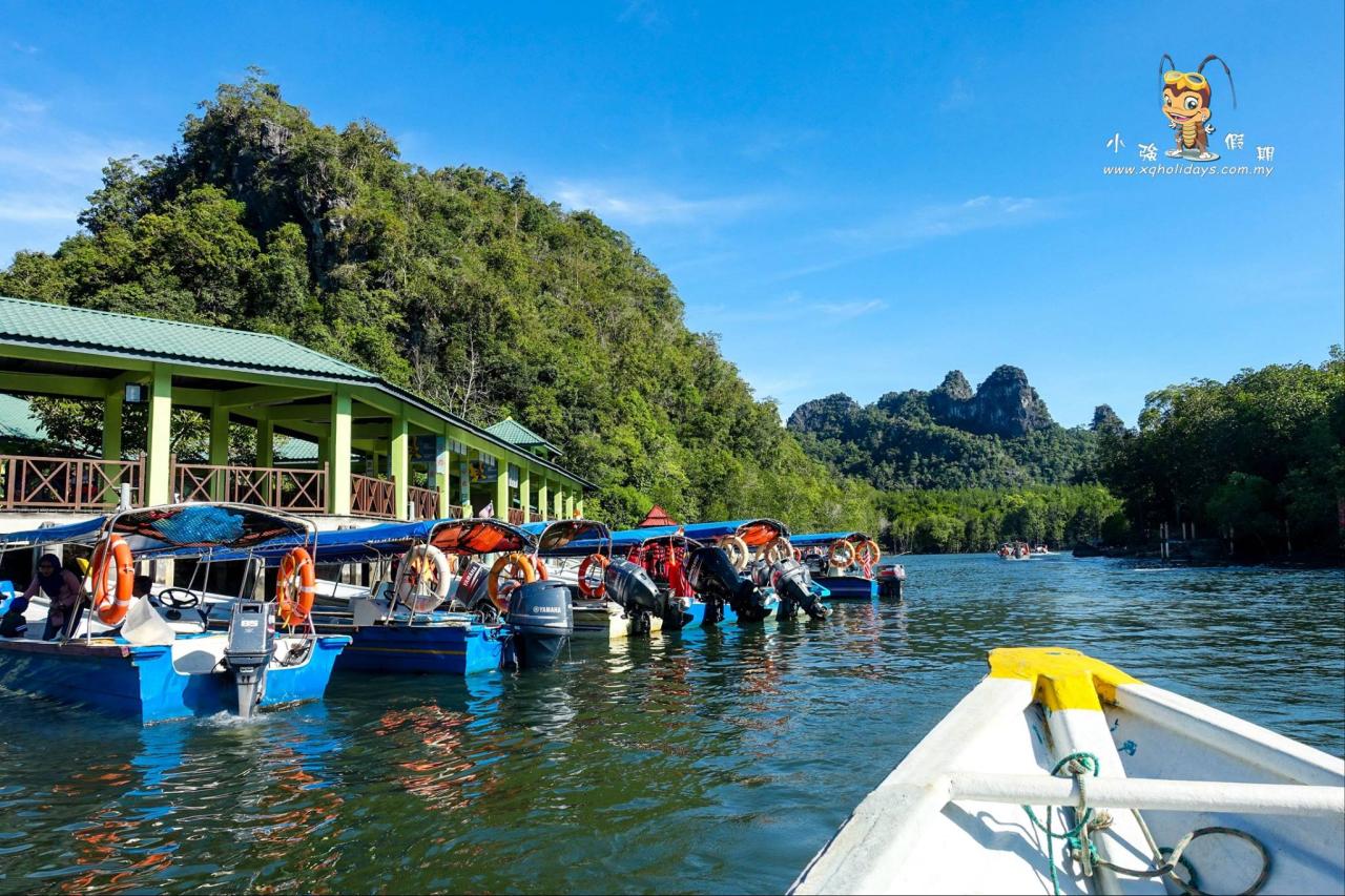 Jelajahi Mangrove Langkawi: Ekspedisi Alam yang Menakjubkan